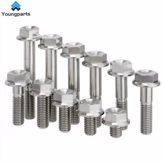 High Quality Titanium Screw Titanium Bolt Ti