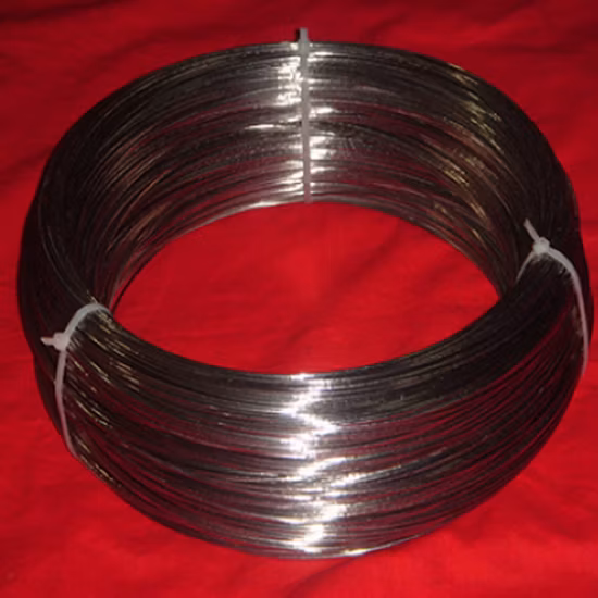 Manufacture ASTM B348 12 Gauge Gr2 Gr5 Titanium Wire for Industrial Application