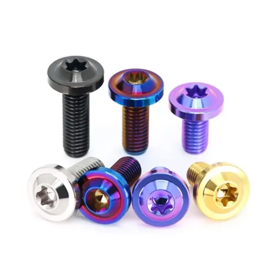 Torx Drive Pan Head Titanium Bolt 