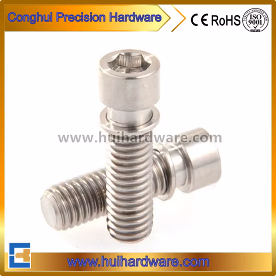 Manufacturer of Titanium/Alloy Titanium Bolt and Nut for Bicycle Use