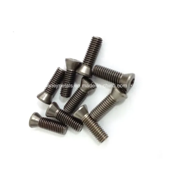 Tc4 Titanium Screws and Titanium Alloy Fasteners 