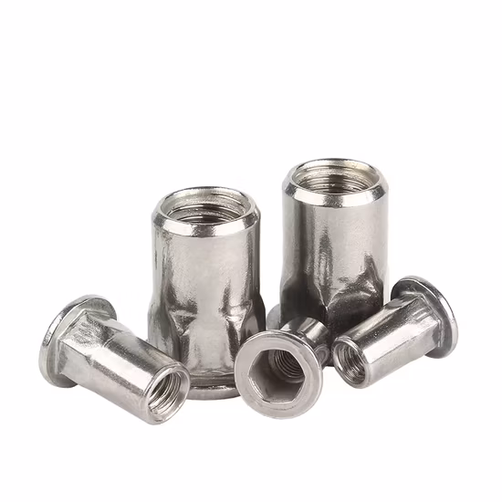 Metal Copper M20 M6 M12 Titanium Special M2 Flat Head Stainless Steel Custom Brass M8 Blind Riveting Rivet Nut